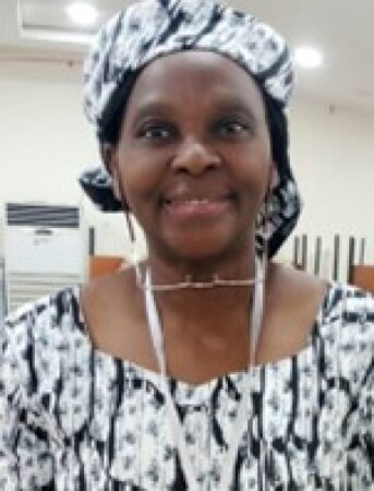 Prof. Taiwo Olayemi Soneye